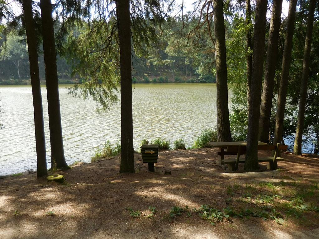 Apartment Haus Am See Litschau
