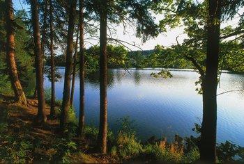 Haus Am See